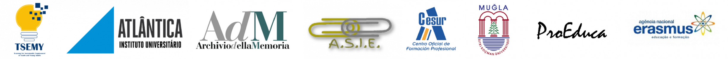 Training for Sustainable Employment of Youth and Young Adults