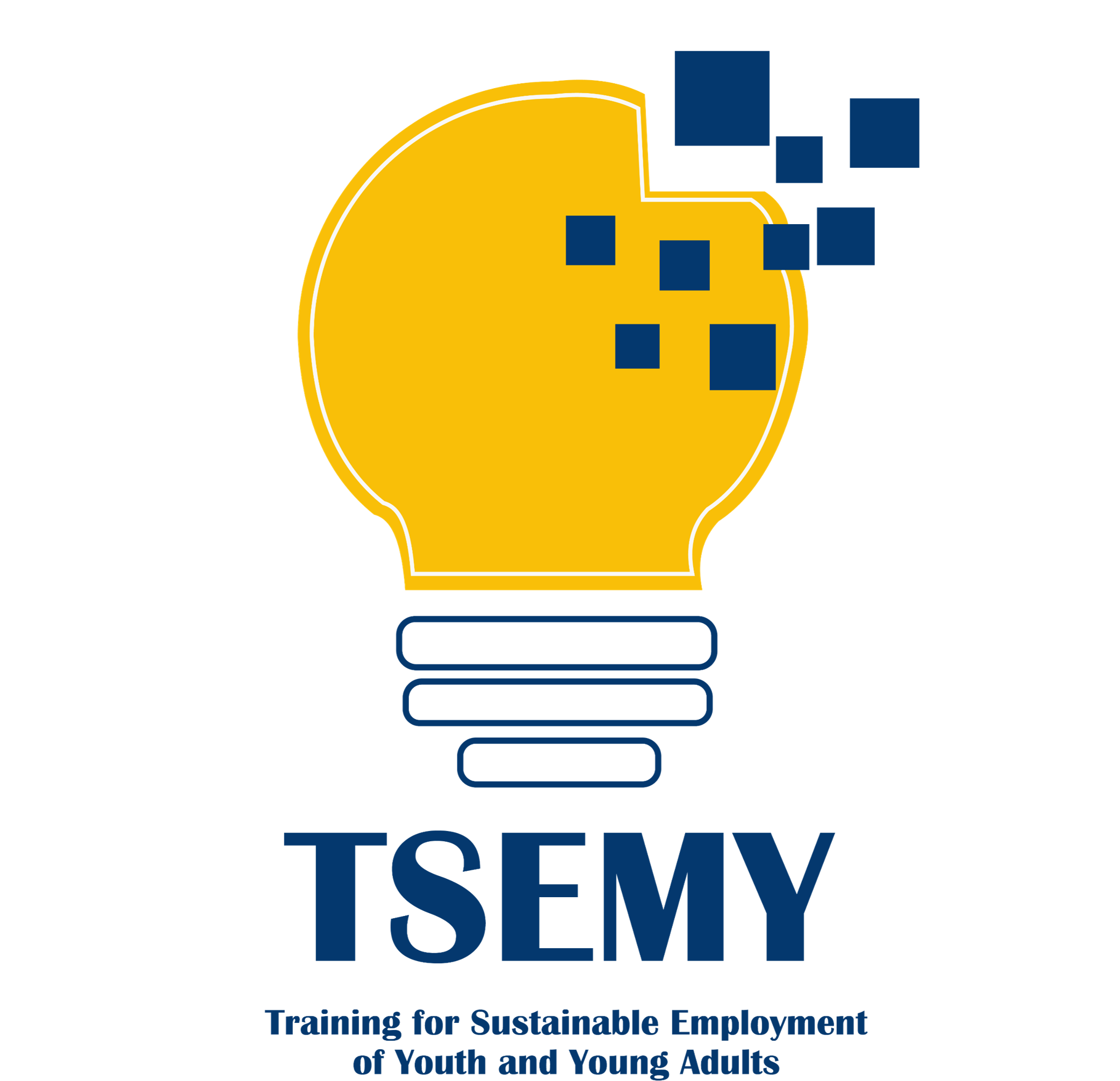 TSEMY – Training for Sustainable Employment of Youth and Young Adults